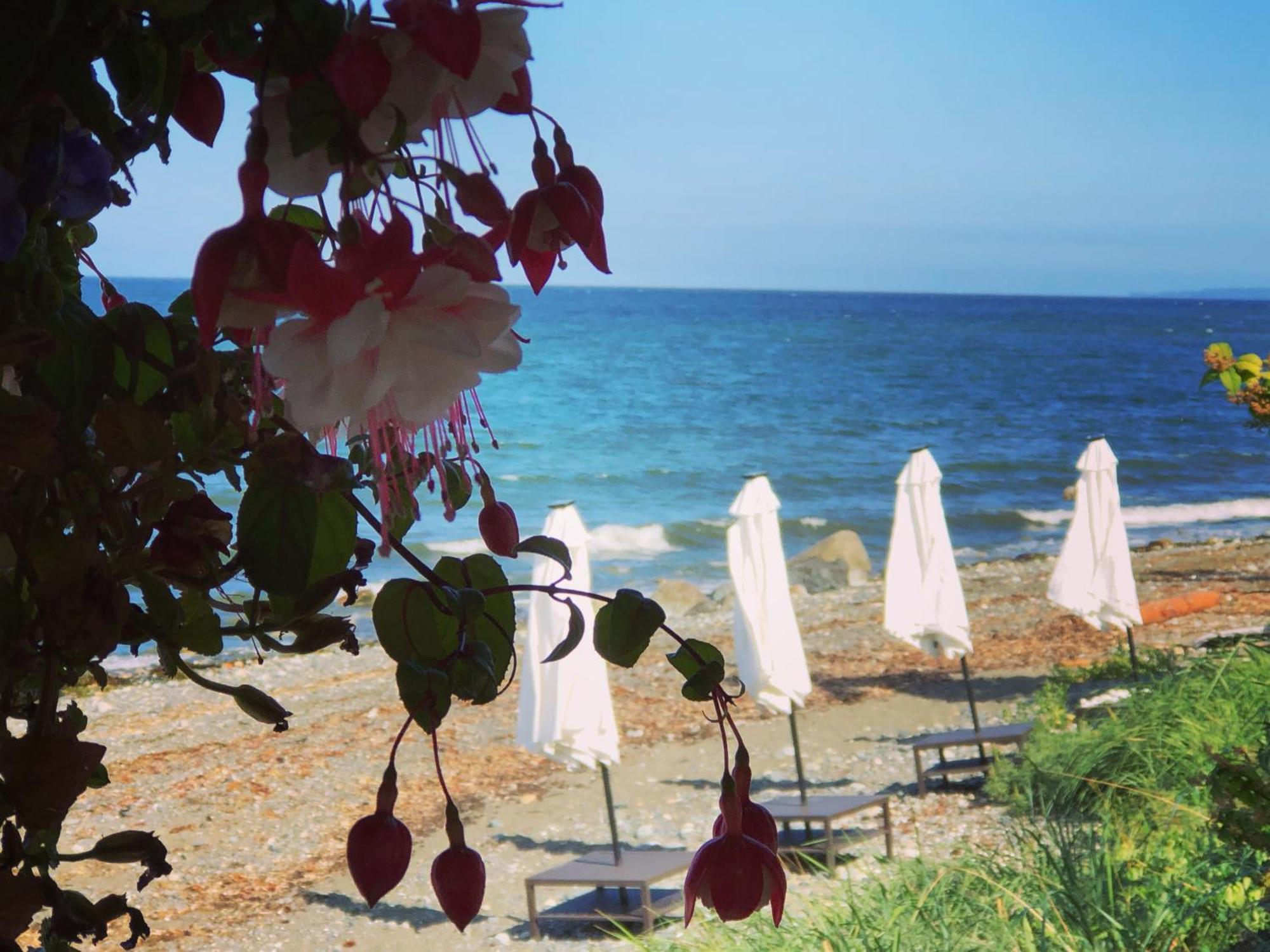 Qualicum Breeze Beach Resort Bowser Екстер'єр фото